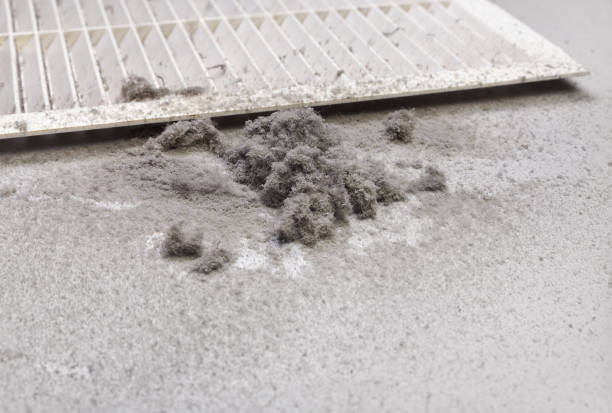 Best Air Vent Cleaning Services  in Brush, CO