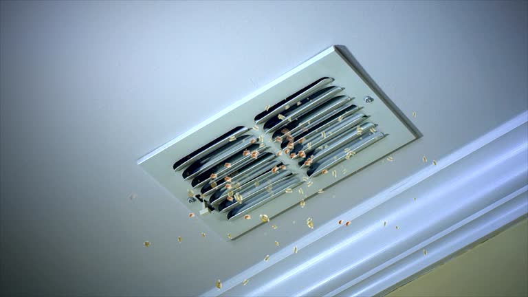 Best Affordable Air Duct Cleaning  in Brush, CO