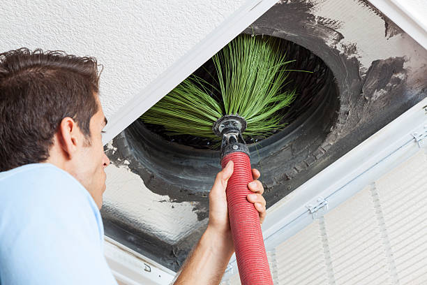 Best Air Duct Cleaning Near Me  in Brush, CO